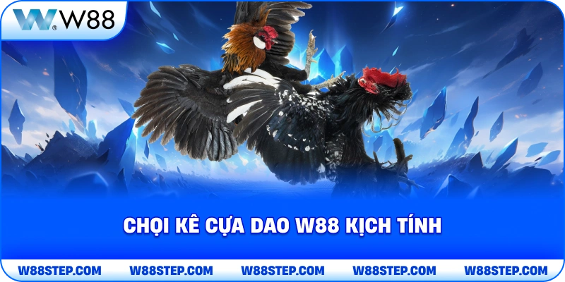 Chọi kê cựa dao W88 kịch tính