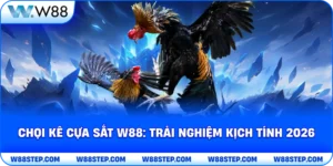 Chọi kê cựa sắt W88: trải nghiệm kịch tính 2026