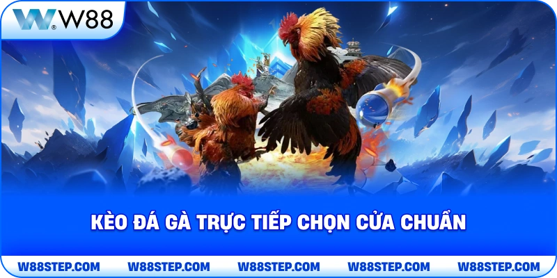 Kèo đá gà trực tiếp chọn cửa chuẩn
